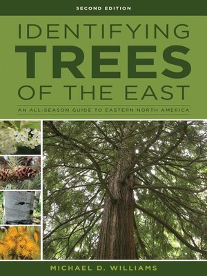 cover image of Identifying Trees of the East